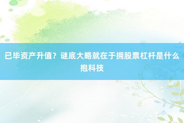 已毕资产升值？谜底大略就在于拥股票杠杆是什么抱科技