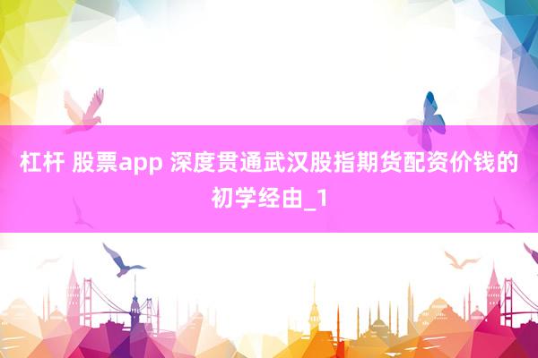 杠杆 股票app 深度贯通武汉股指期货配资价钱的初学经由_1