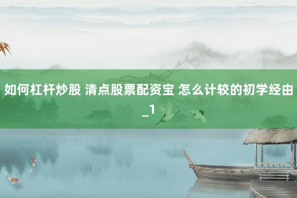 如何杠杆炒股 清点股票配资宝 怎么计较的初学经由_1